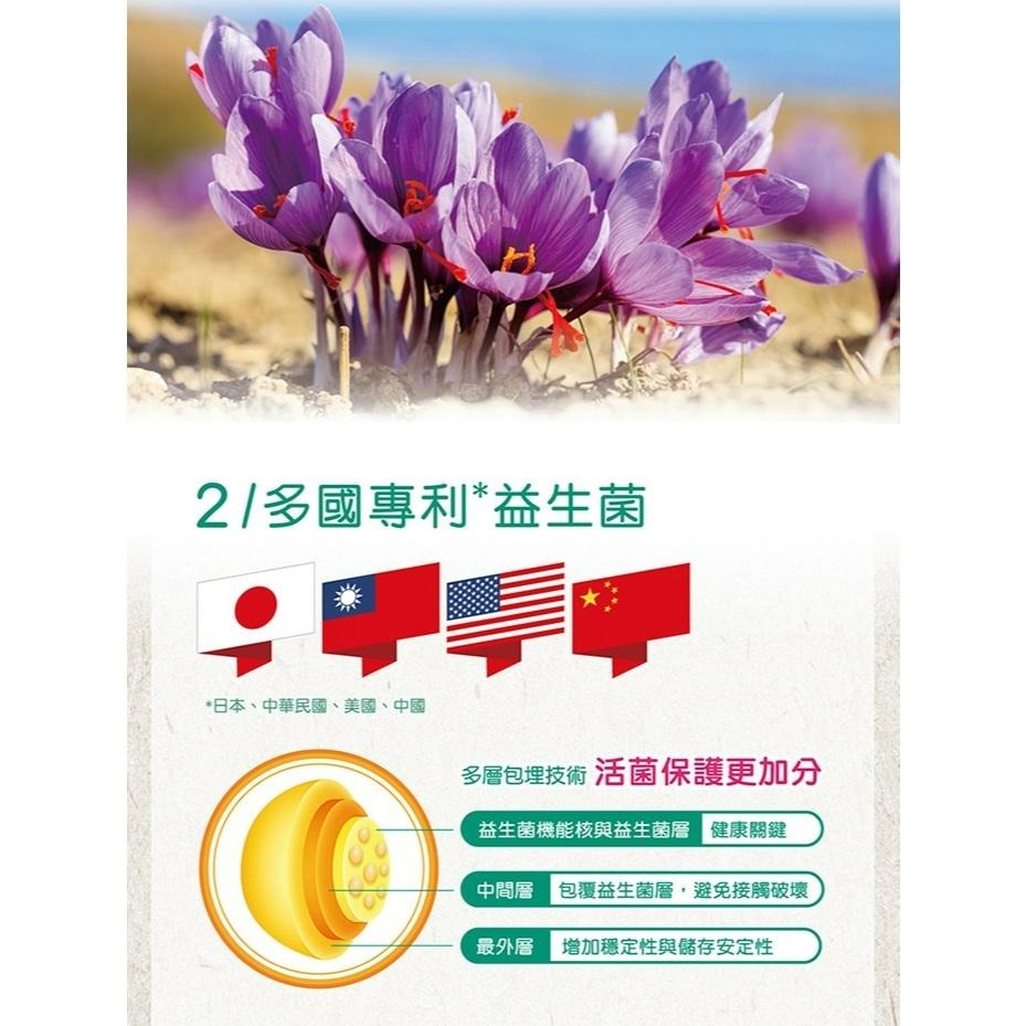 善存 益生菌 舒眠益生菌膠囊 30顆/盒、60顆/盒 | 熊野藥局-細節圖5