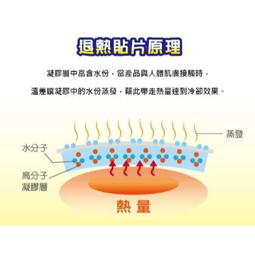 無比 麵包超人 退熱貼 6片/盒 | 熊野藥局-細節圖4