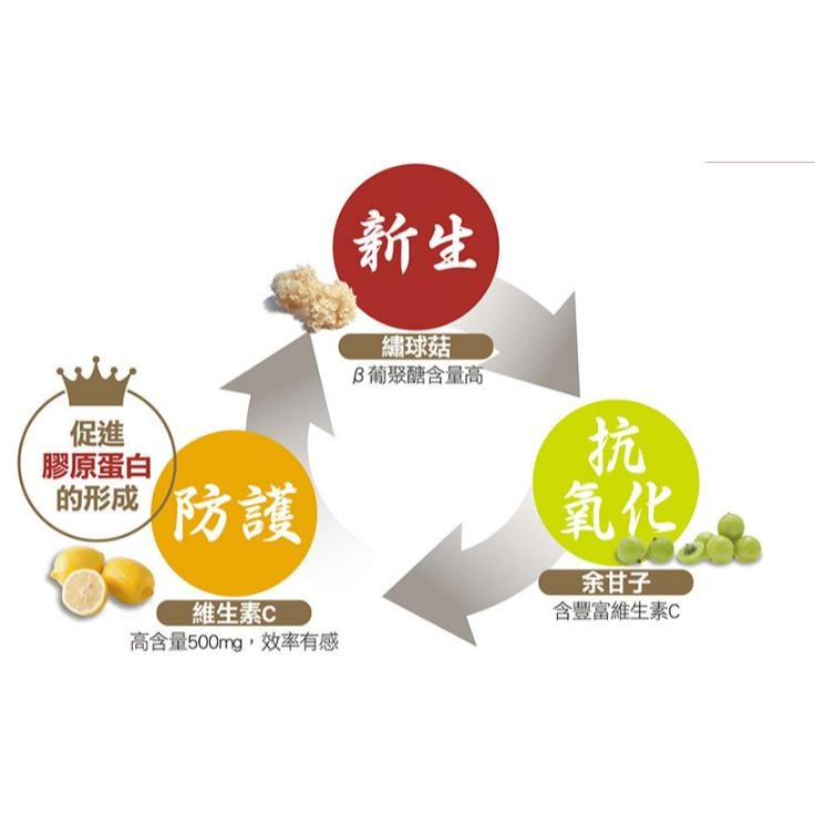 IKOR 醫珂 和漢御光皙C錠 20包/盒 含β葡聚醣+維生素C | 熊野藥局-細節圖4