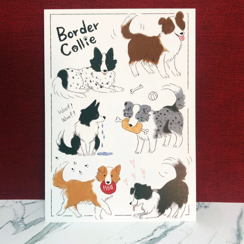【Miki Chen 插畫工作室】 台灣原創插畫明信片-邊境牧羊犬 邊境狗狗-細節圖2
