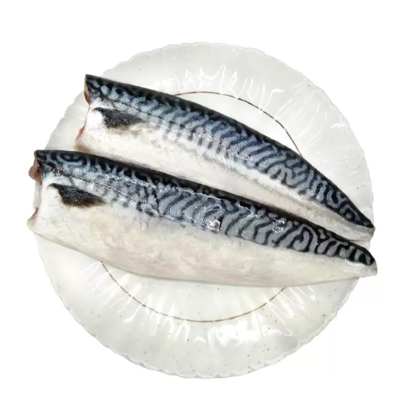 【小資族最愛】 好市多COSTCO代購 薄鹽白腹鯖魚片 薄鹽鯖魚 即食料理 海鮮 鹽漬 烤鯖魚 挪威鯖魚-細節圖2