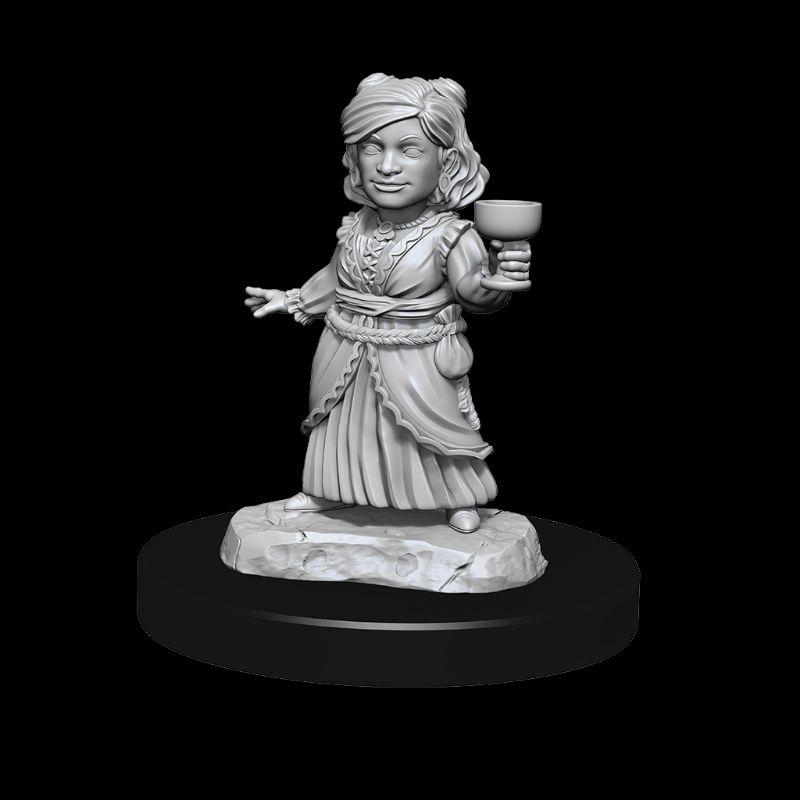 【奧丁模型】龍與地下城：銀龍幼雛與半身人女性-細節圖3