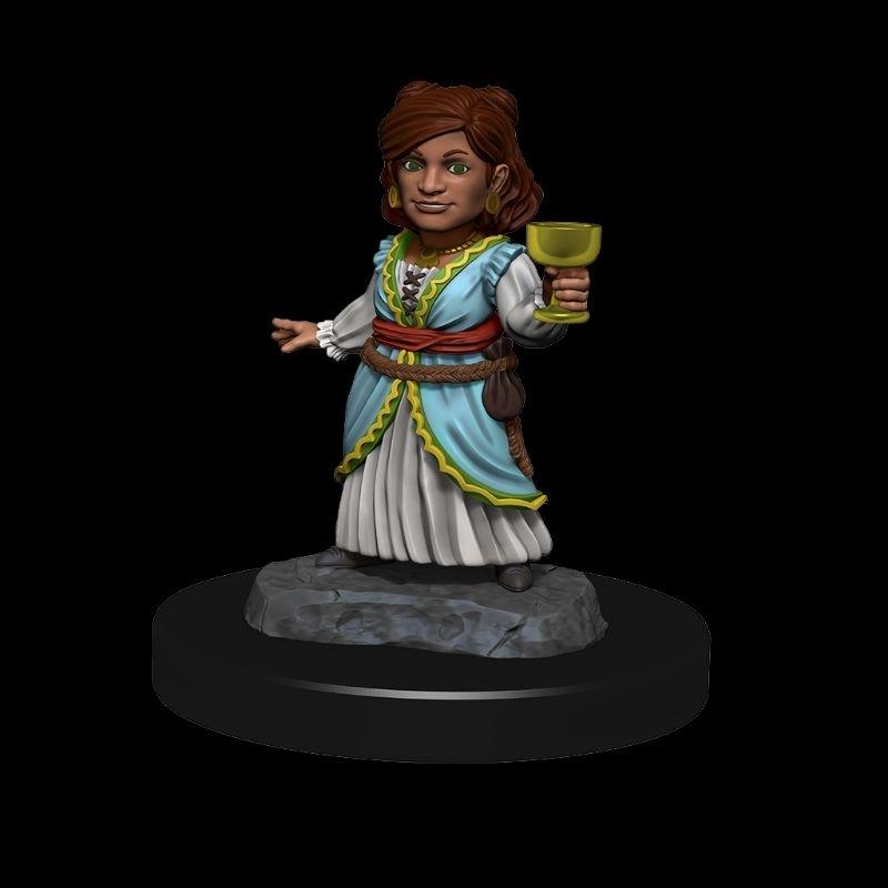 【奧丁模型】龍與地下城：銀龍幼雛與半身人女性-細節圖4