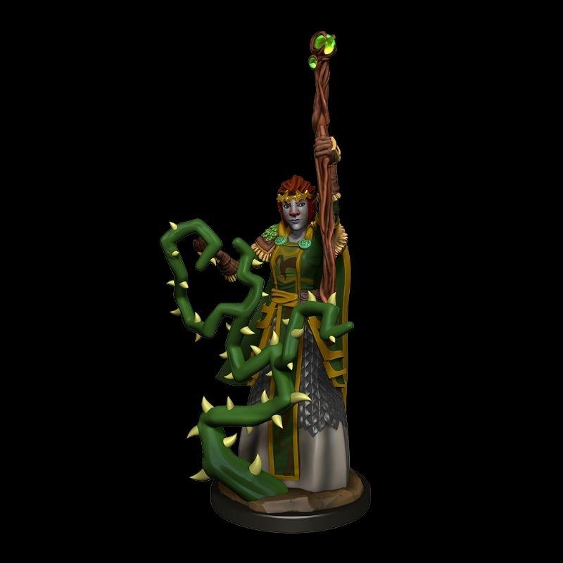 【奧丁模型】龍與地下城：費爾伯格女性德魯伊_FIRBOLG DRUID FEMALE-細節圖5