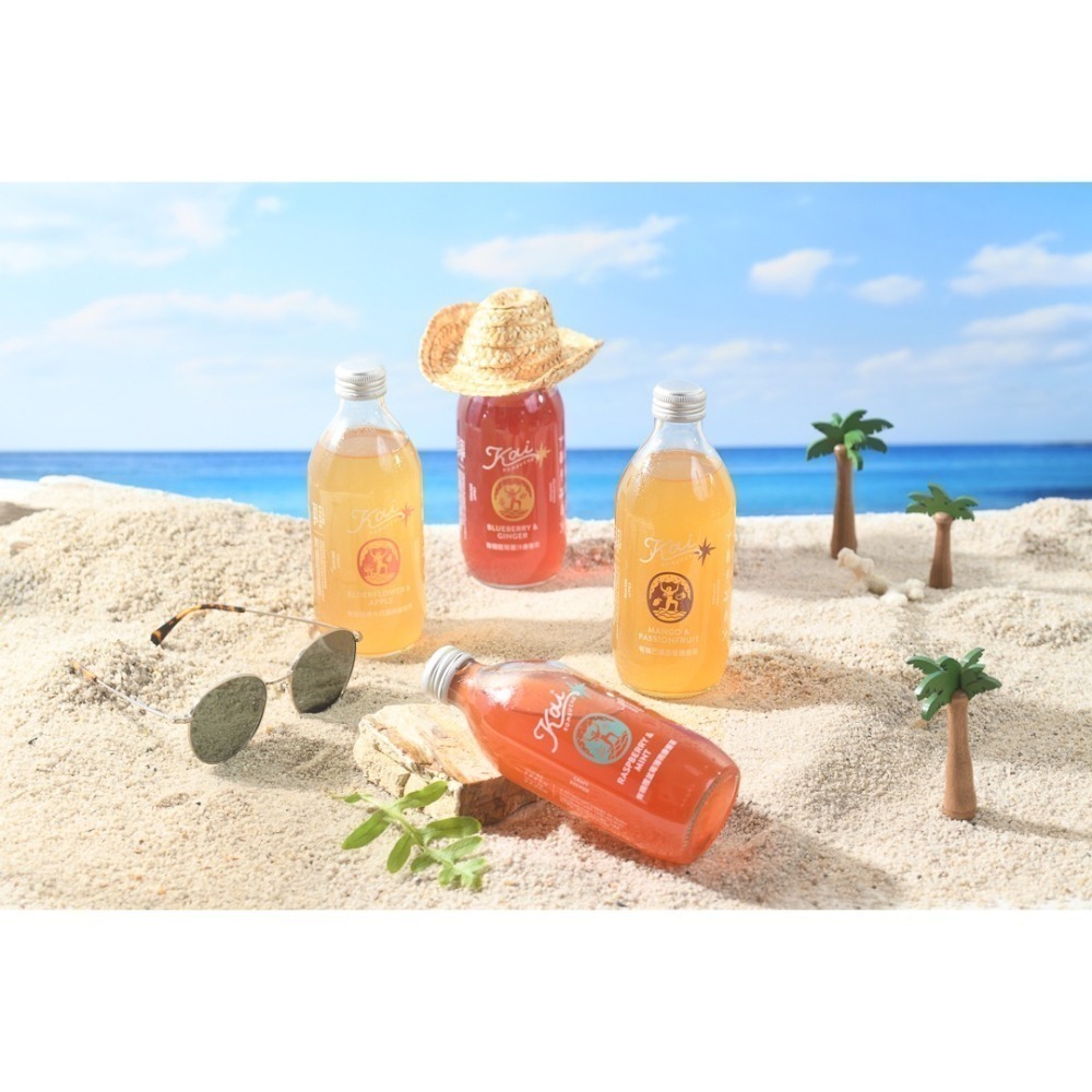 【Kai康普茶】綜合口味康普茶 6瓶裝/12瓶裝/24瓶裝-細節圖2