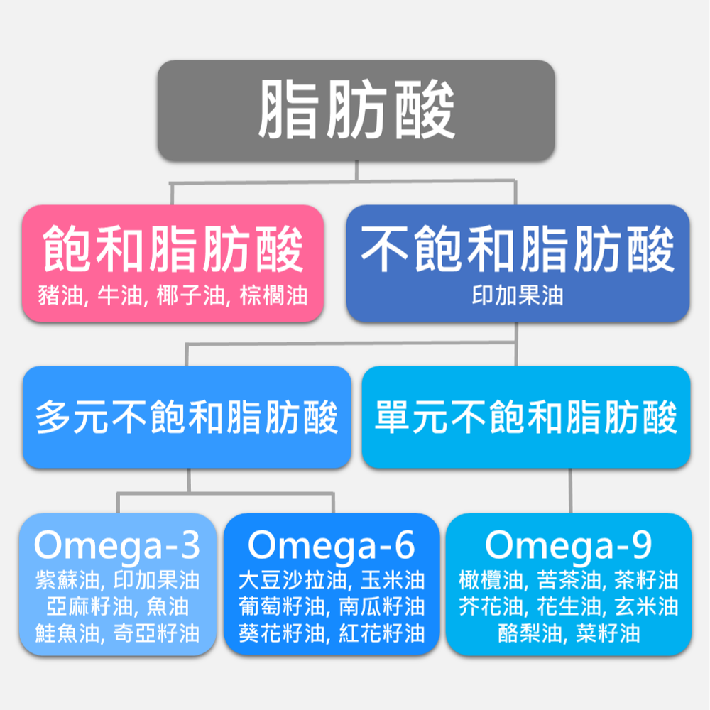 【初榨印加果油好撕隨身包】10mlx15包 素魚油 Omega-3 好油帶走壞油 冷壓初榨 超級食物 現貨 食在加分-細節圖2