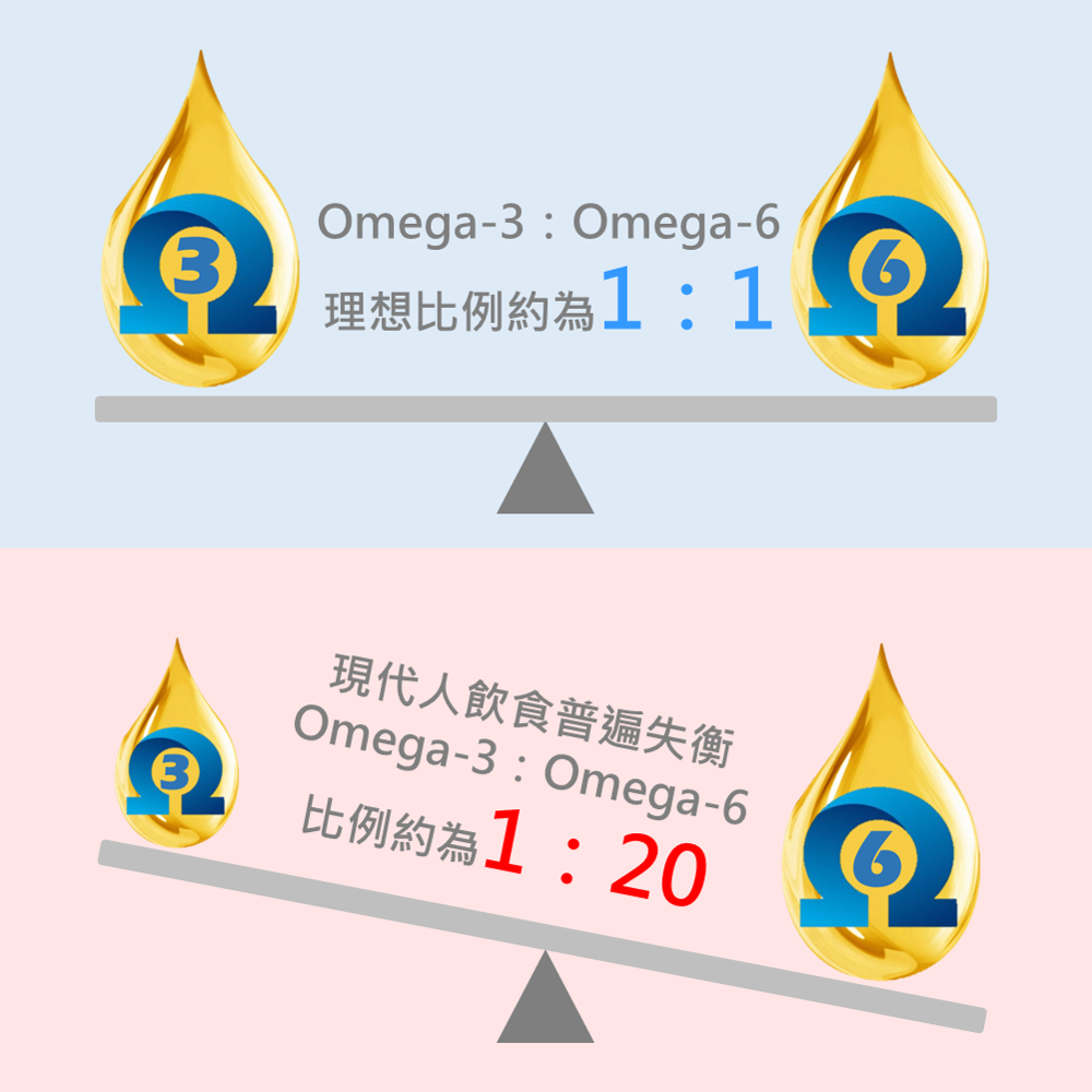 【初榨印加果油好撕隨身包】10mlx15包 素魚油 Omega-3 好油帶走壞油 冷壓初榨 超級食物 現貨 食在加分-細節圖4