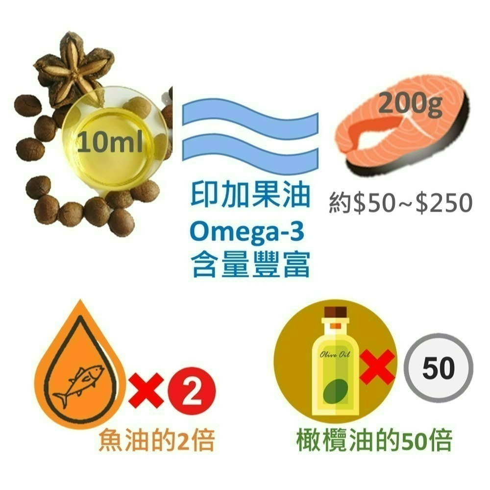 【初榨印加果油好撕隨身包】10mlx15包 素魚油 Omega-3 好油帶走壞油 冷壓初榨 超級食物 現貨 食在加分-細節圖6