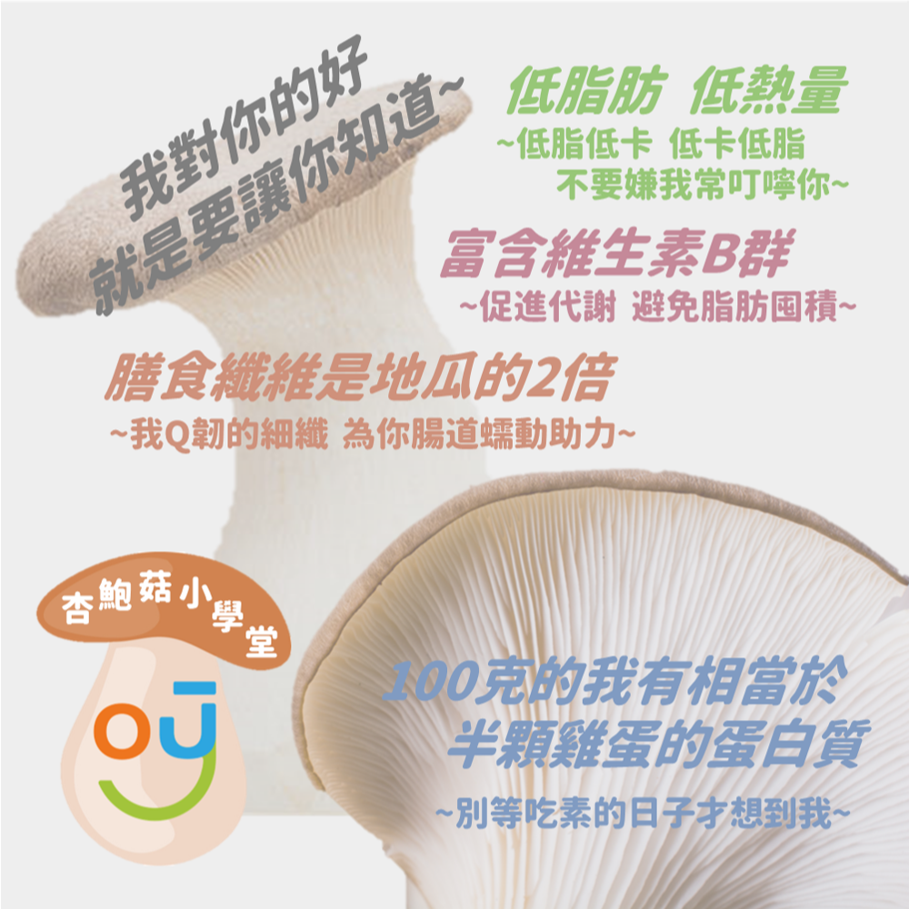 【杏鮑菇香絲】180g 細纖Ｑ韌 絲絲入味 純素 百搭 無化學添加 台灣杏鮑菇 高纖 茶點 團購 現貨 富強森 強森先生-細節圖4