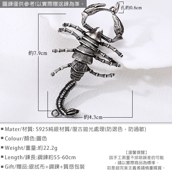 《 QBOX 》FASHION 飾品【TSC41125】精緻個性復古立體蠍子S925純銀墬子/泰銀吊墜-細節圖2