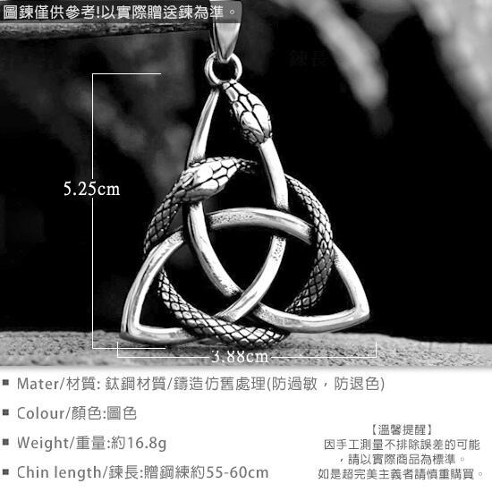 《 QBOX 》FASHION 飾品【CBP8-1137】精緻個性復古北歐維京三角雙蛇圖騰鑄造鈦鋼墬子項鍊/掛飾-細節圖2