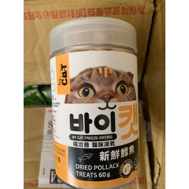 by CAT 喵洽普 新鮮鱈魚 貓咪凍乾零食 60g, 1罐-細節圖8
