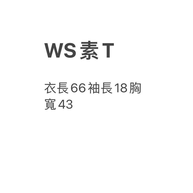 全新 WOODSTUCK男版棉質短袖上衣 素T 黑色S號-細節圖2