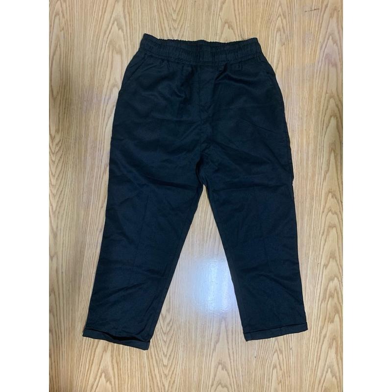 全新JKS Agile Lab 春夏款 西裝九 分褲 日本布料L號-細節圖3