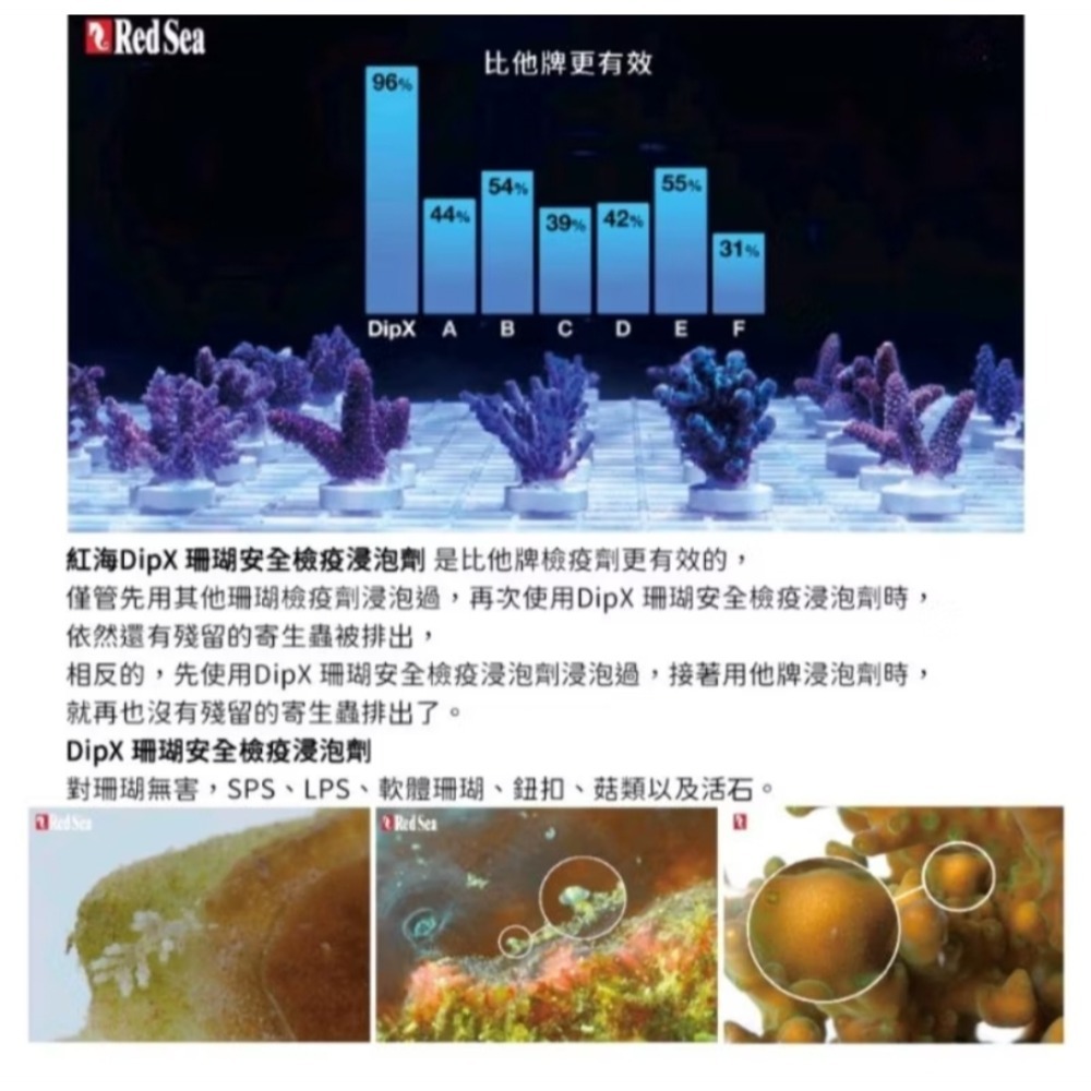 紅海珊瑚安全檢疫浸泡劑-細節圖3