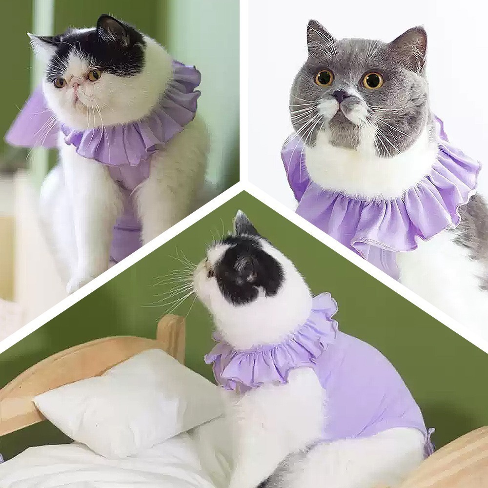 meoof｜貓咪防舔衣 防舔衣 絕育服 寵物防舔 貓咪防舔 寵物防舔衣 絕育衣 結紮 貓絕育-細節圖9