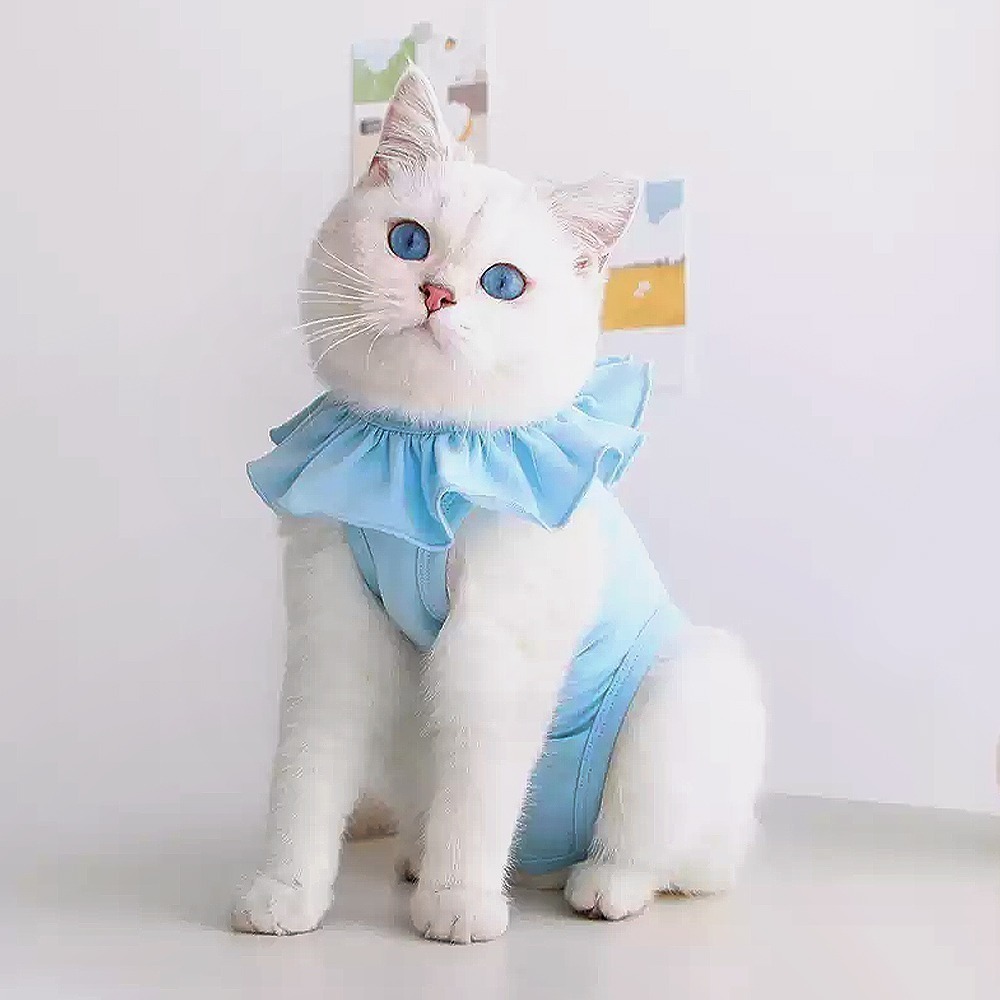 meoof｜貓咪防舔衣 防舔衣 絕育服 寵物防舔 貓咪防舔 寵物防舔衣 絕育衣 結紮 貓絕育-規格圖10