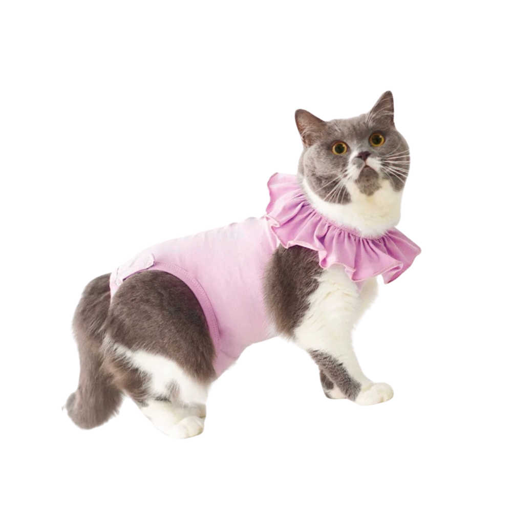 meoof｜貓咪防舔衣 防舔衣 絕育服 寵物防舔 貓咪防舔 寵物防舔衣 絕育衣 結紮 貓絕育-規格圖10