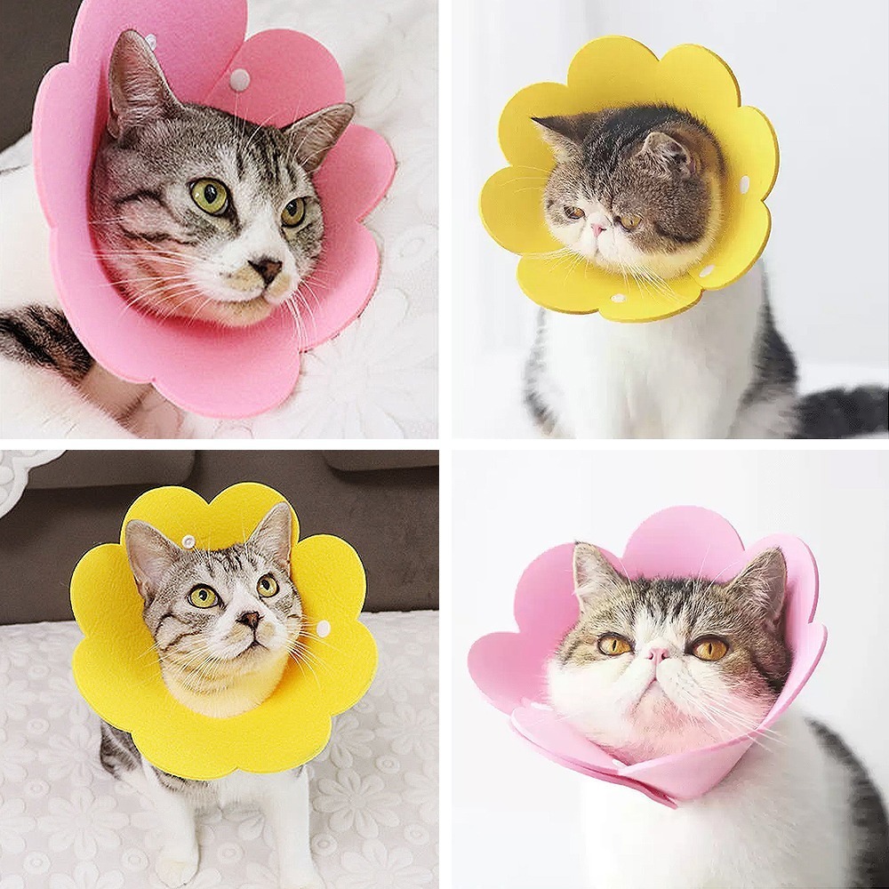 meoof ｜伊莉莎白圈 貓頭套 寵物頭套 羞恥圈 防舔頭套 貓咪頭套 防舔圈 貓 貓咪-細節圖10