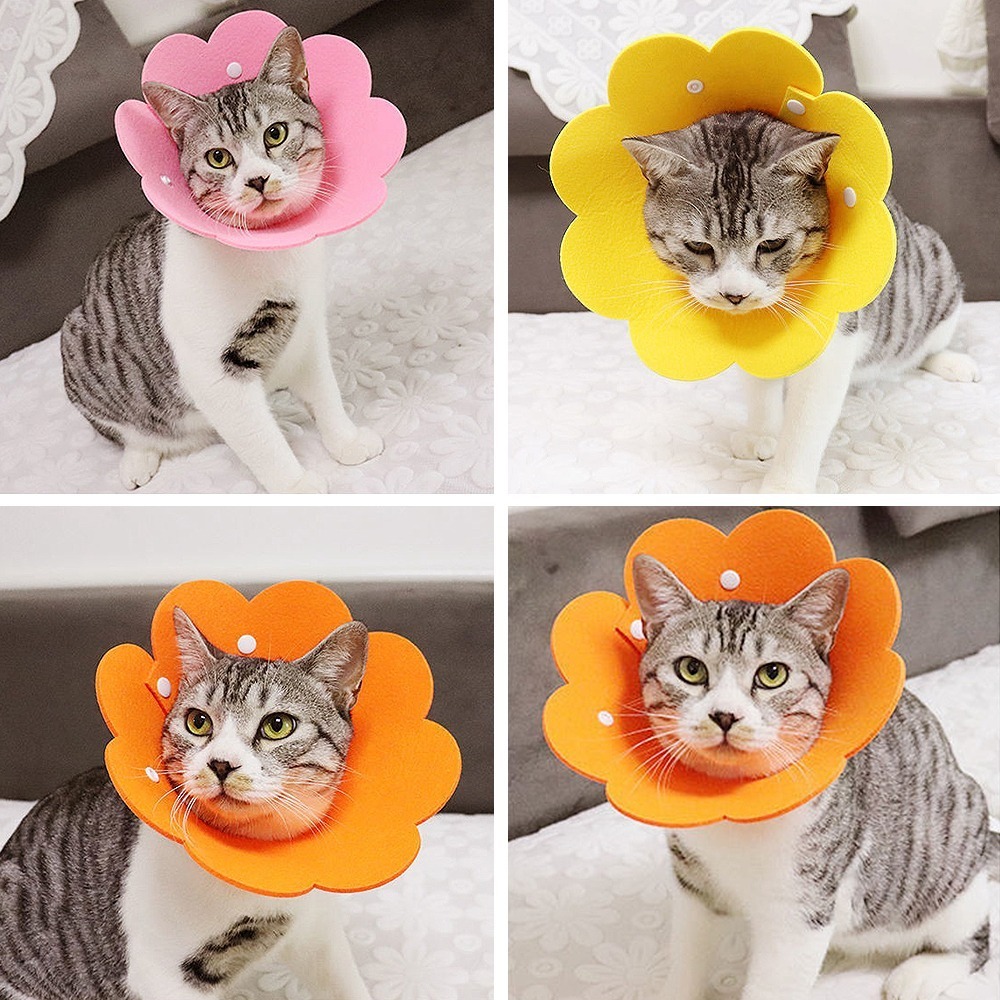 meoof ｜伊莉莎白圈 貓頭套 寵物頭套 羞恥圈 防舔頭套 貓咪頭套 防舔圈 貓 貓咪-細節圖11