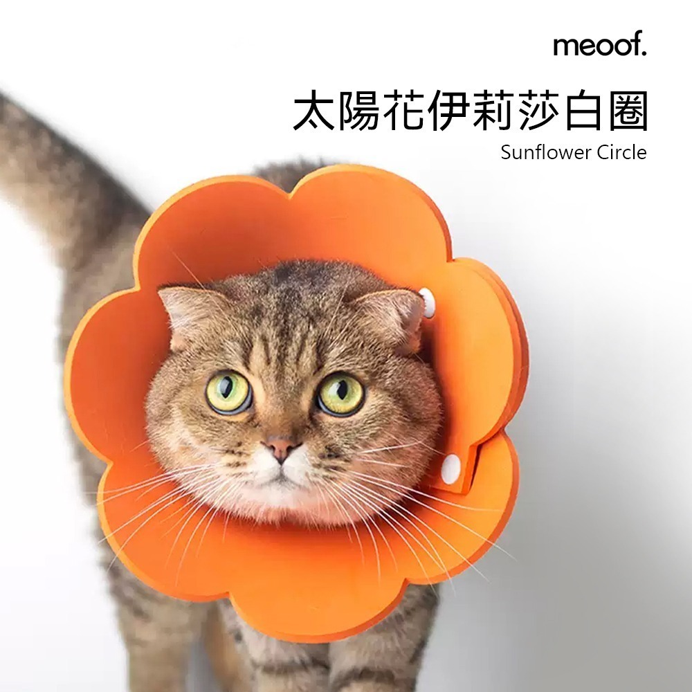 meoof ｜伊莉莎白圈 貓頭套 寵物頭套 羞恥圈 防舔頭套 貓咪頭套 防舔圈 貓 貓咪-細節圖3