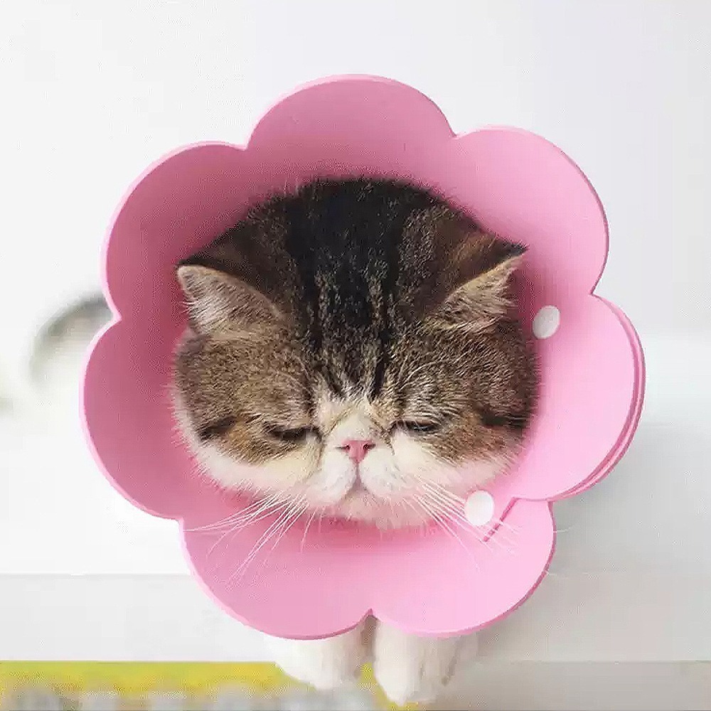 meoof ｜伊莉莎白圈 貓頭套 寵物頭套 羞恥圈 防舔頭套 貓咪頭套 防舔圈 貓 貓咪-規格圖11