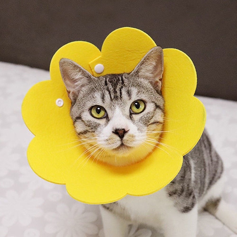 meoof ｜伊莉莎白圈 貓頭套 寵物頭套 羞恥圈 防舔頭套 貓咪頭套 防舔圈 貓 貓咪-規格圖11