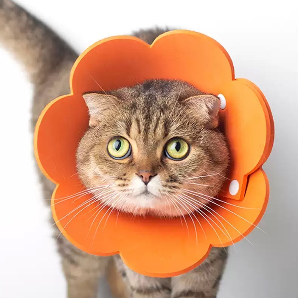 meoof ｜伊莉莎白圈 貓頭套 寵物頭套 羞恥圈 防舔頭套 貓咪頭套 防舔圈 貓 貓咪-規格圖11