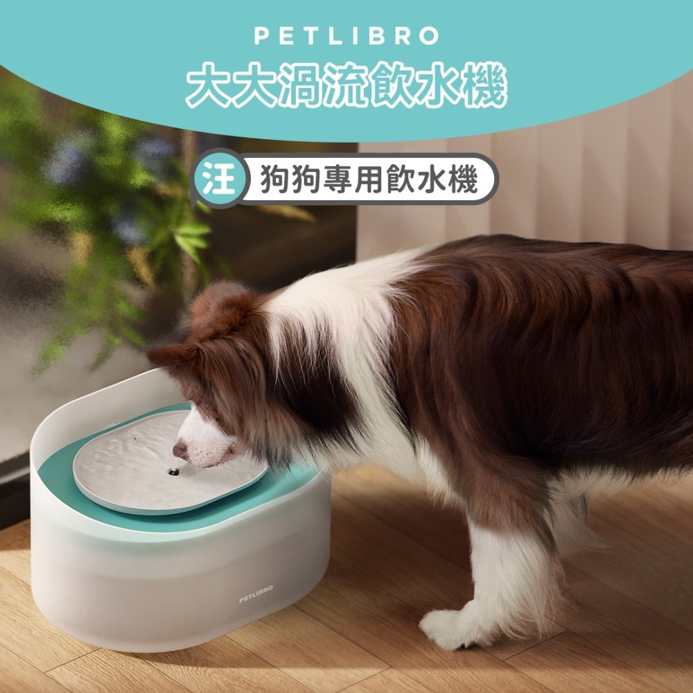 PETLIBRO｜大大渦流飲水機 8L大容量飲水機 狗狗飲水機 自動飲水機 寵物飲水機 喝水機 狗用-細節圖2