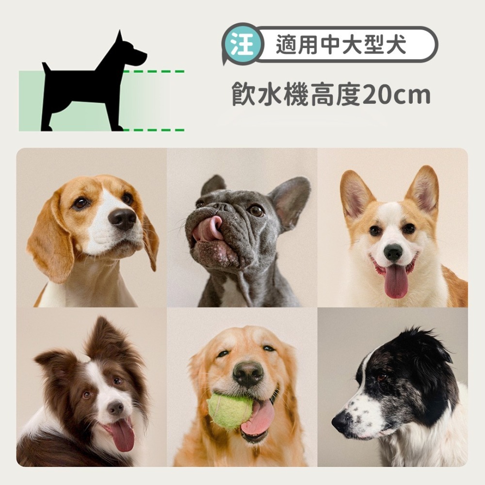 PETLIBRO｜大大渦流飲水機 8L大容量飲水機 狗狗飲水機 自動飲水機 寵物飲水機 喝水機 狗用-細節圖5