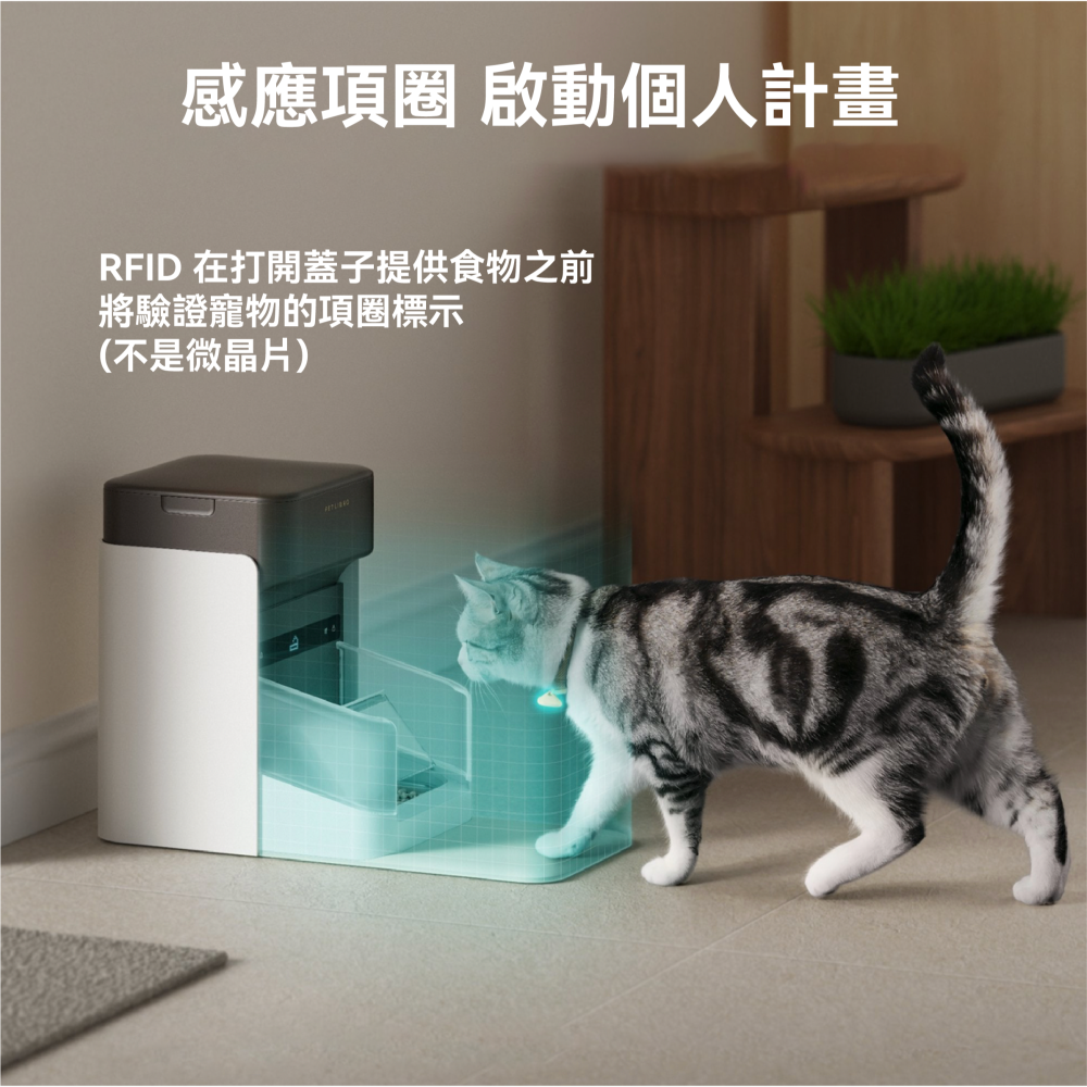 PETLIBRO｜RFID專寵餵食器 自動辨識開蓋 寵物餵食器 自動餵食器 防搶食-細節圖3