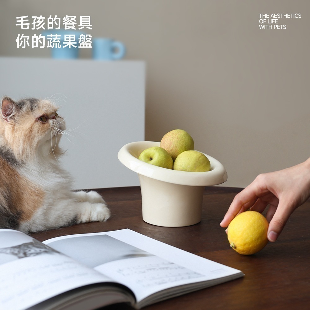 【限時購】meoof｜花花寵物陶瓷碗 任選兩入組-細節圖7