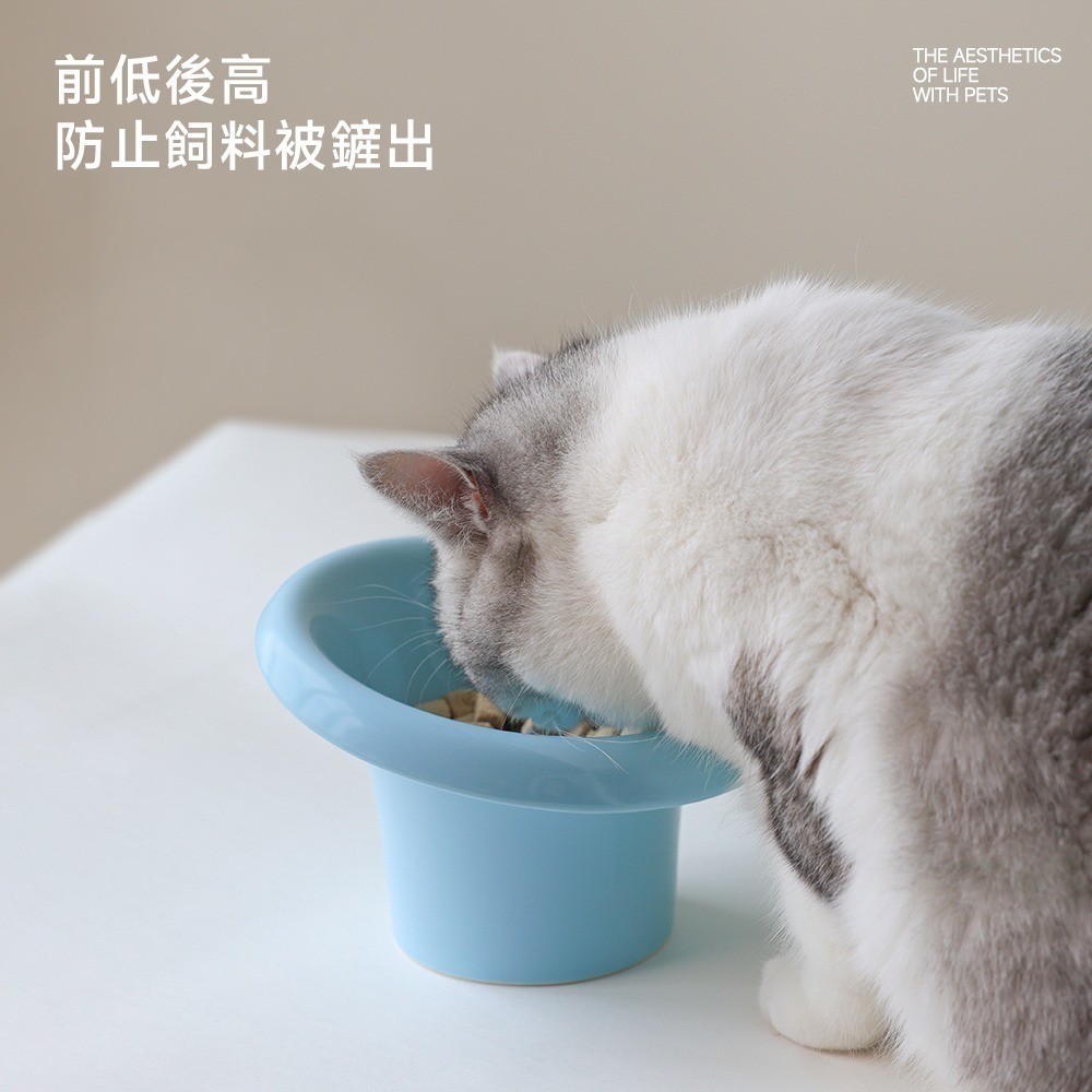 【限時購】meoof｜花花寵物陶瓷碗 任選兩入組-細節圖8