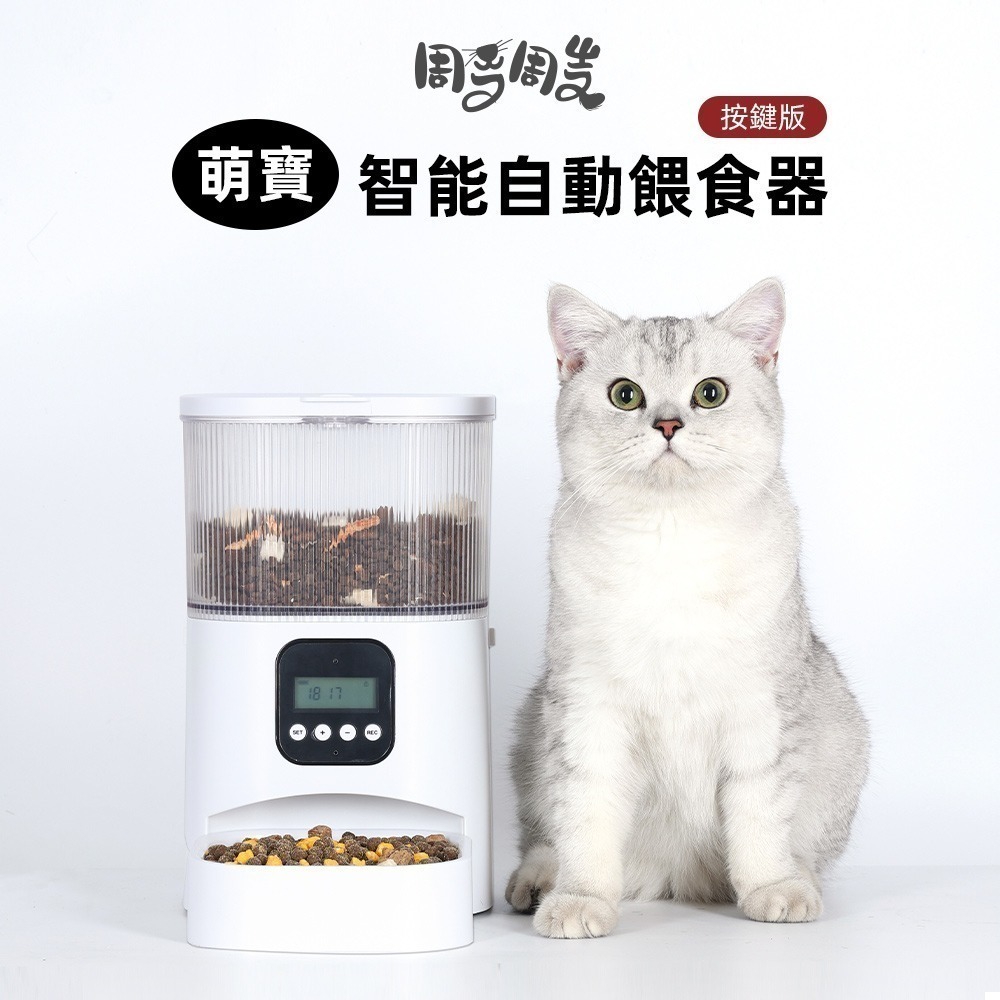 【限時購】周周｜萌寶智能自動餵食器 按鍵版-細節圖4
