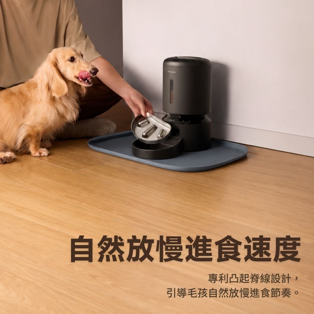 PETLIBRO 不鏽鋼慢食碗 膠囊餵食器視訊版單碗［配件］-細節圖3