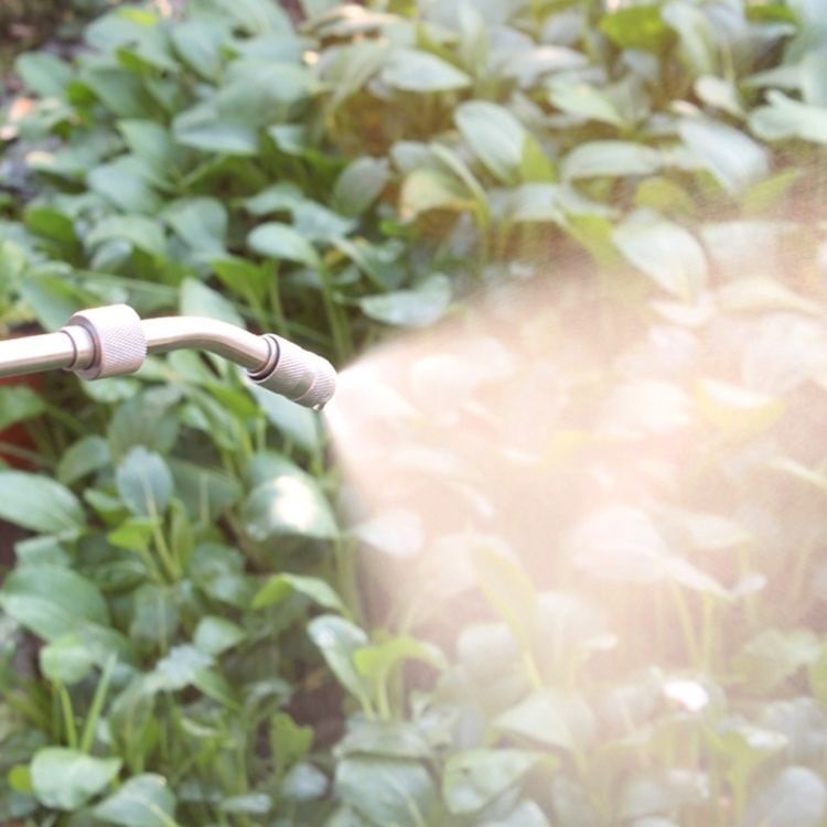 長桿 48公分 銅手柄 清洗噴槍 長桿噴槍 空調 清洗水槍 洗車灌溉花灑 加長水槍 多功能水槍 澆花 洗車-細節圖5