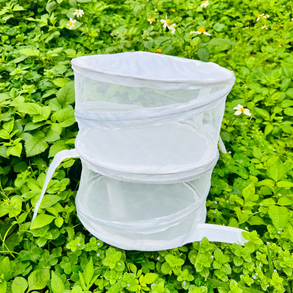 SOAK 昆蟲飼養箱 網籠 昆蟲網籠 昆蟲觀察盒 昆蟲箱 昆蟲盒 竹節蟲 毛毛蟲 昆蟲網籠24cm直徑可塗鴉-細節圖3