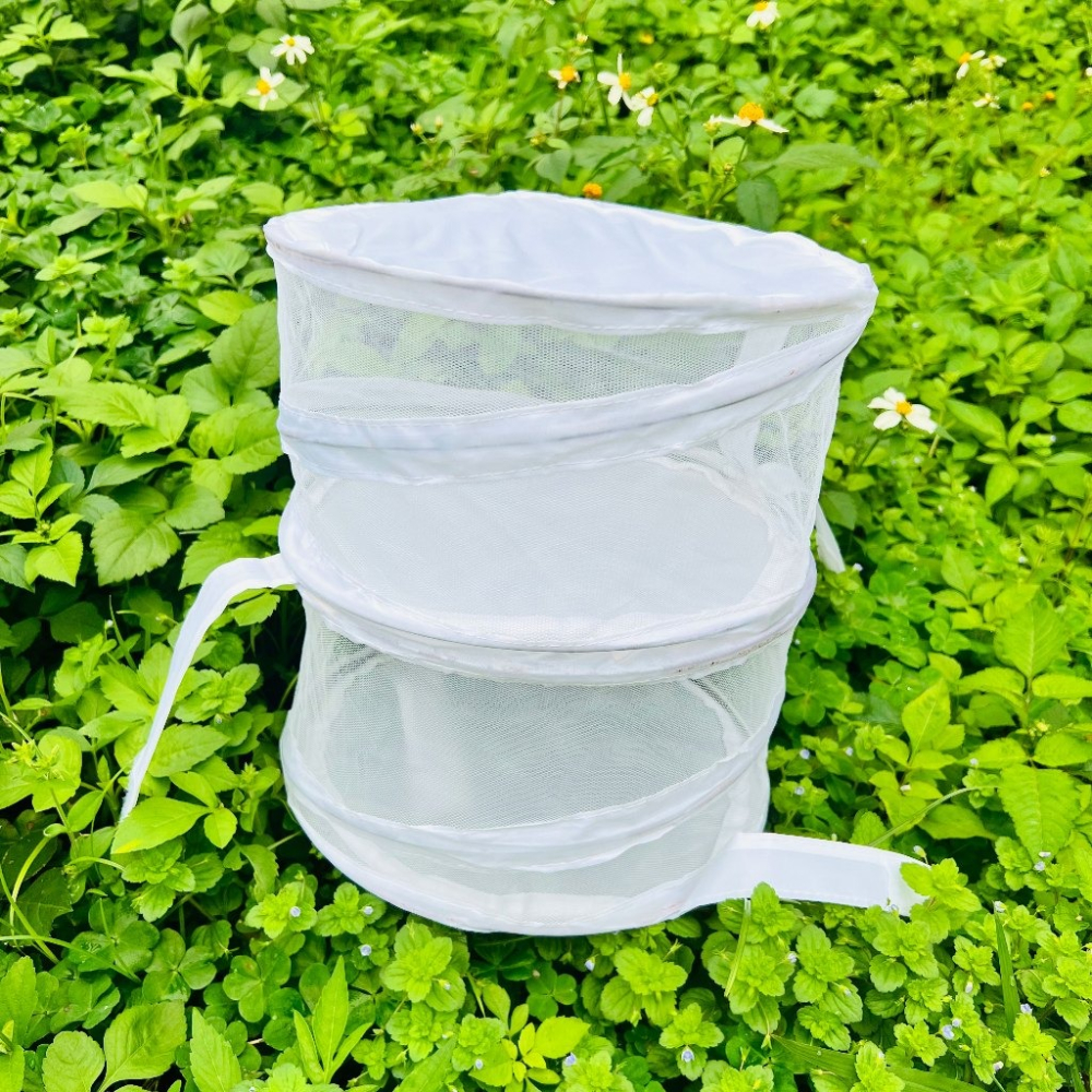 SOAK 昆蟲飼養箱 網籠 昆蟲網籠 昆蟲觀察盒 昆蟲箱 昆蟲盒 竹節蟲 毛毛蟲 昆蟲網籠24cm直徑可塗鴉-細節圖7