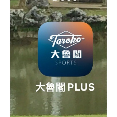 [售]  大魯閣代幣 大魯閣電子代幣一定有現貨22元/枚起NOW-2026/8/31 即買即用-細節圖3