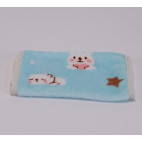 蜜袋鼯 松鼠 倉鼠 刺蝟 黃金鼠 小動物用 法蘭絨布 小動物保暖布-細節圖3