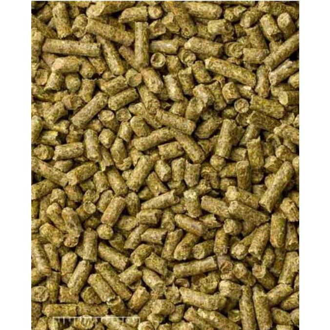 美國瑪滋力Mazuri 1kg(原裝)龍貓專用飼料 金吉拉鼠 絨鼠飼料-細節圖3