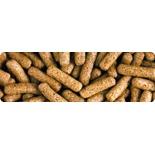 Saki-Hikari 高夠力 善玉菌烏龜飼料 水龜主食 澤龜 水龜飼料200g 567g-細節圖3