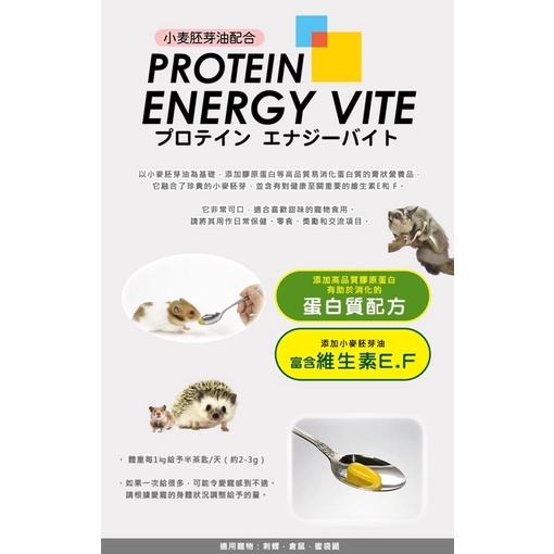 日本 SANKO #615 小動物高蛋白營養膏35G 蜜袋鼯 刺蝟  睡鼠 松鼠 黃金鼠 倉鼠 小動物營養補充-細節圖2
