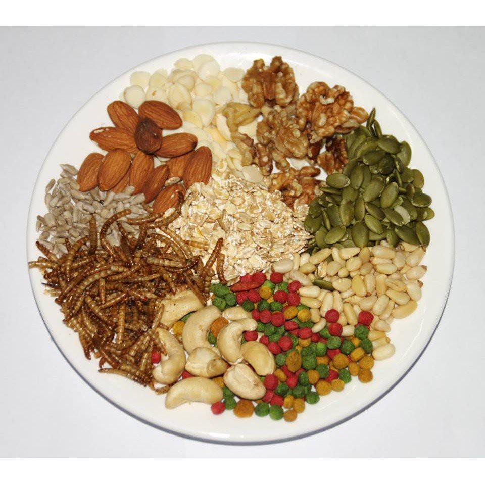 松鼠飼料 蜜袋鼯 無調味綜合堅果(十種)超值包100G/含蟲乾版/不含蟲乾版 睡鼠 松鼠 飛鼠 花栗鼠 倉鼠 寵物鼠-細節圖2