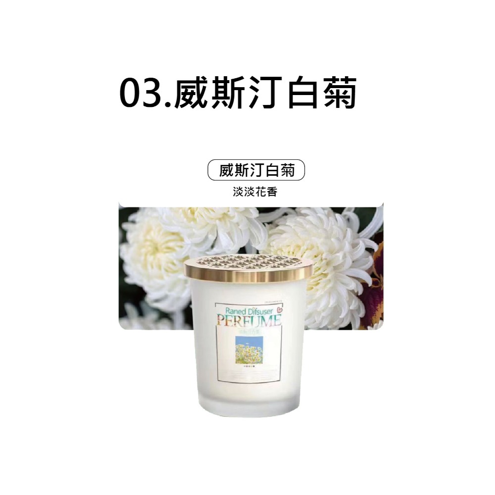 03.威斯汀白菊