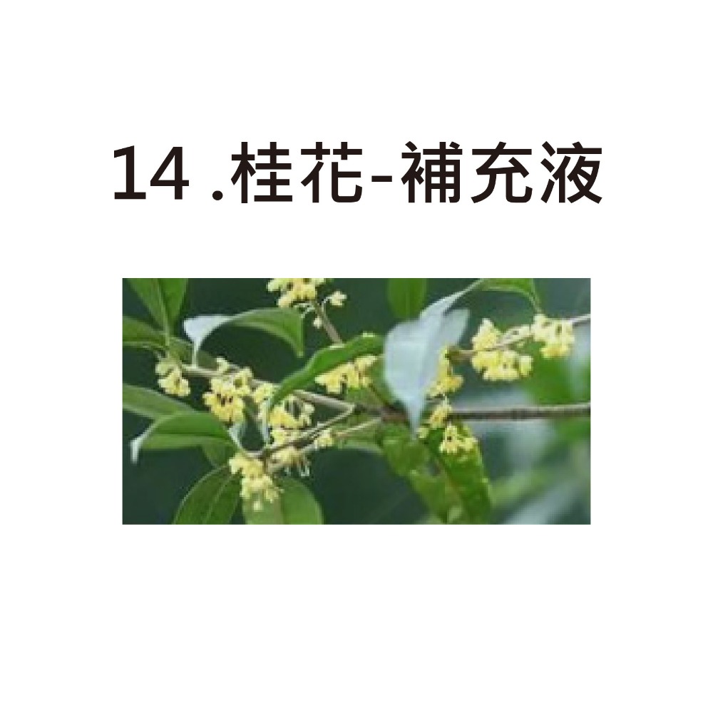 【台灣現貨 快速發貨】汽車香氛機 霧化細膩 0酒精 隨車啟停 全車清香 花香 古龍 海洋 香水 香氛 車內除味 車用香氛-規格圖7