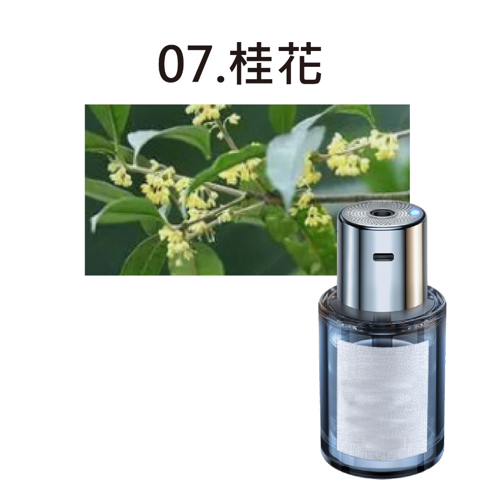 07.桂花-整組