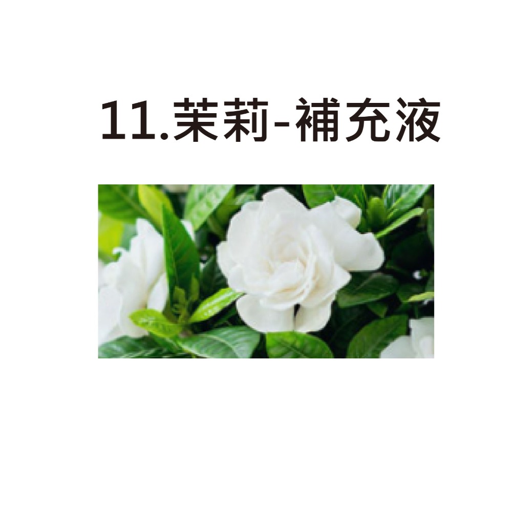 11.茉莉-補充液