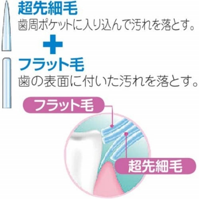 日本EBiSU 優質倍 護毛 軟毛 牙刷(一盒12隻)特價-細節圖3