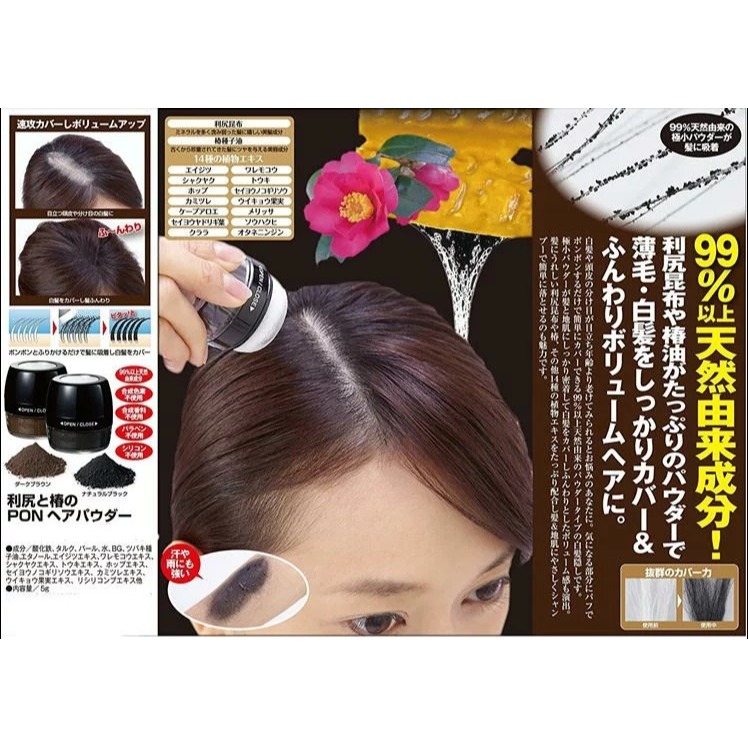 日本 黑彩 防風防水 氣墊款 遮瑕 染髮粉(栗色.黑)兩色-細節圖9